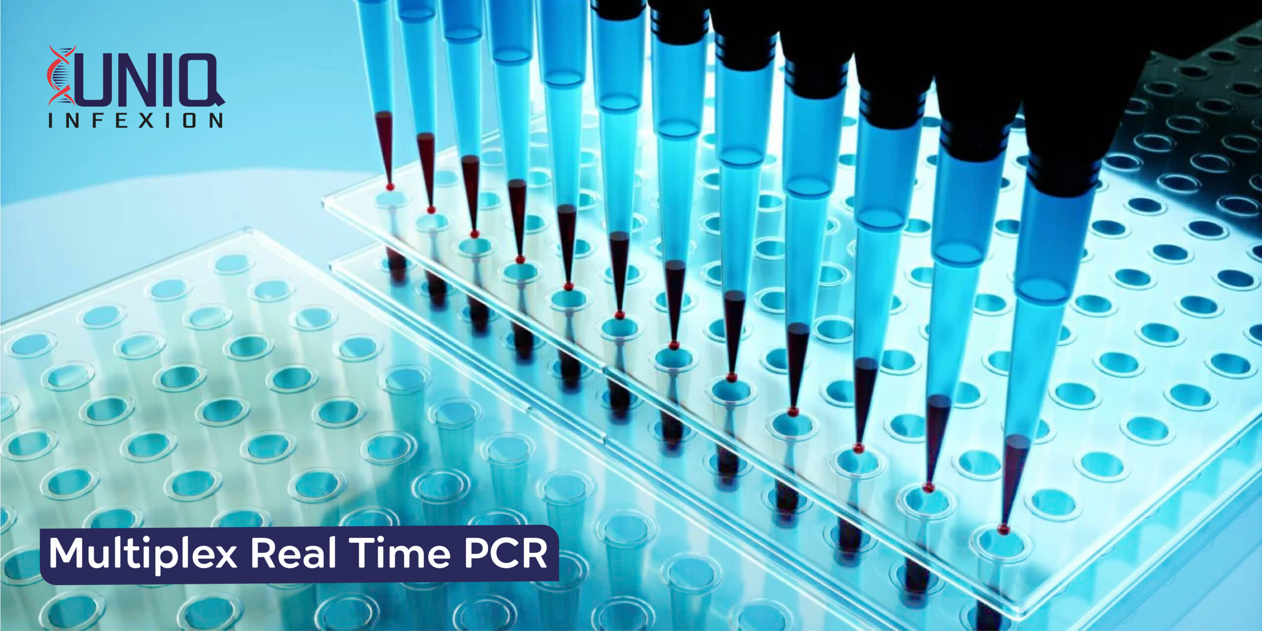 Multiplex Real Time PCR